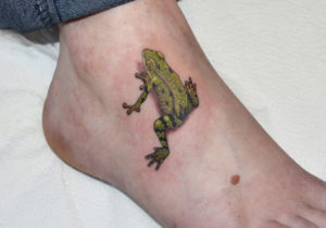 Tattoostudio Hamburg , Hakuna Ma Tattoo , Tattoos , Tattoo Kröte