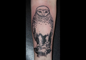 Tattoostudio Hamburg , Hakuna Ma Tattoo , Tattoos , Tattoo Eule