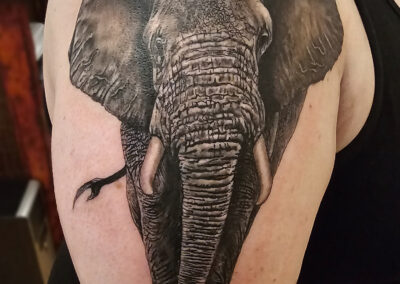 Elefant Tattoo von York